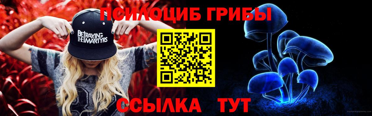 Галлюциногенные грибы прущие грибы Новомосковск